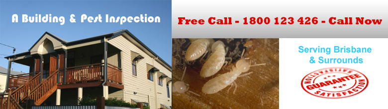 Brisbane  Building & Pest Inspection